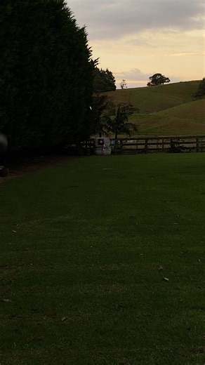 70 yards #archery #hunting #bow #fyp #nz