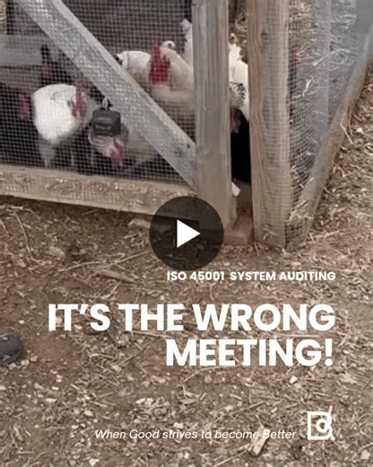 It’s the wrong meeting.After years of auditing ISO-based management systems, I have learned that some problems are so common they are instantly recognisable.This is one of them.During an… | Christel Fouche | 14 comments