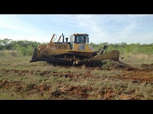 Root plowing in south Texas