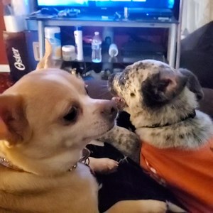 79K views · 8.9K reactions | El bebé gigante | Princes | Facebook