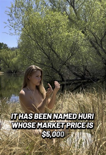 Hoori: The First Fully Artificial Woman Created in China