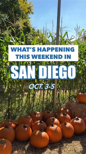 Check out our Editor’s Picks for this weekend’s can’t-miss events happening in San Diego! 🎃 Del Mar Pumpkin Station 2025 Friday, Oct. 3 (and through Oct. 26) Del Mar, Calif. 💬 Politifest 2025 Saturday, Oct. 4 @uofsandiego 👻 Scream San Diego 2025 Saturday, Oct. 4 Handlery Hotel 🎉 Pumpkin Festival Craft Fair Sunday, Oct. 5 @batesnutfarm Find more fun things to do at kpbs.org/events | KPBS