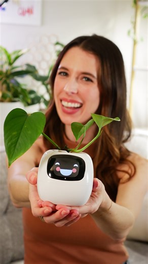 Plant parenting just got a whole lot easier! 華 #problemsolved | The Providence Journal | Facebook