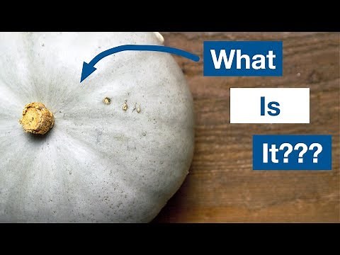 🔵 Baked Sweetmeat Squash Recipe
