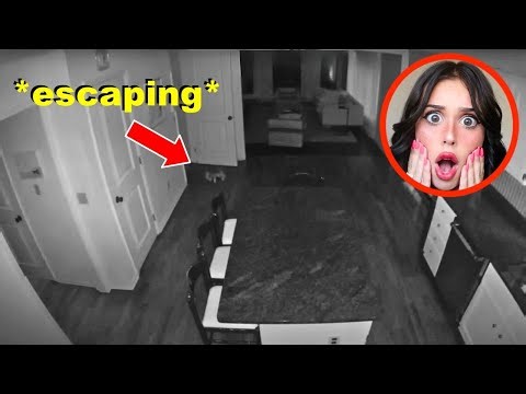 they bought a PET SPIDER off the DARK WEB!! *it ESCAPED*