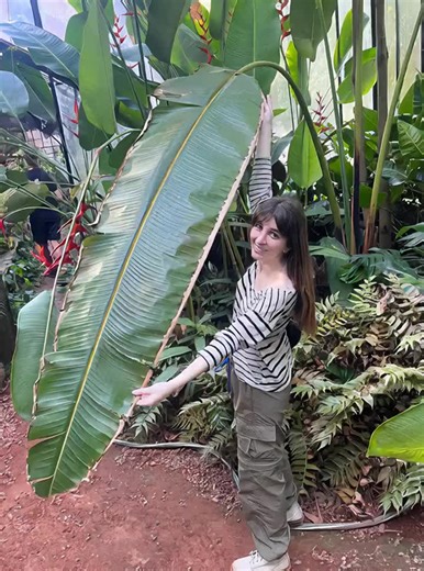 Videos de Cande Knd (@cande_knd) con “sonido original - Keisen Music”