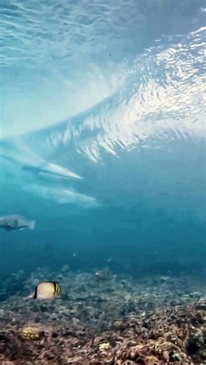 Relaxing Nature Ambience | 4K Video for Sleeping, Studying, Meditation