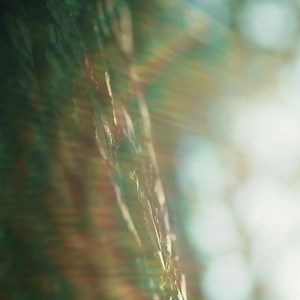 19 reactions | Découvrez la Tissot T-Touch Connect Solar : une montre suisse hybride qui combine un chef-d'œuvre traditionnel avec des fonctionnalités connectées. Powered by nature – crafted for you. Disponible dès maintenant sur tissotwatches.com et dans une sélection de magasins en Suisse. | Tissot | Facebook