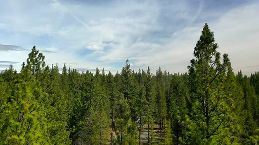 Be one of the first to experience Sunriver Resort’s newest collection of vacation home rentals, Forestbrook at Caldera Springs. Set amid an awe-inspiring alpine wilderness environment, Forestbrook will offer two- and three-bedroom homes and studio residences and will be introduced with limited availability until all homes are completed. Visit link in our bio to learn more and book your stay today.