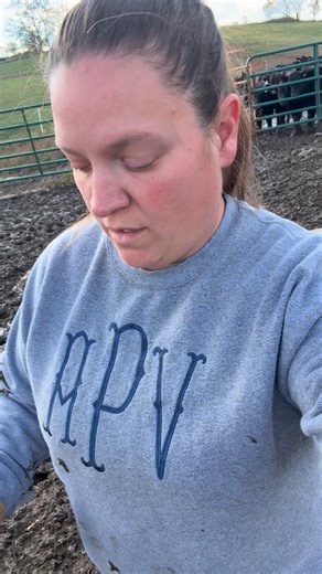 I’ve been attacked…! #bluemeadowbeef #localinhenrycountyky #poop #notreally #sortof | Blue Meadow Beef LLC | Facebook