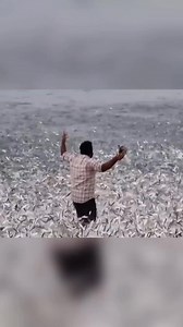 1.5M views · 7.8K reactions | Quickly Run Away  | Perkins Page | Facebook