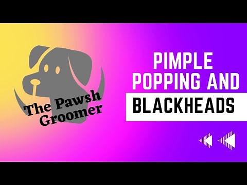 Pimple popping and black heads on dogs.