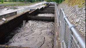 Pools or chambers with flowing water in the salmon ladder at Pitlochry dam