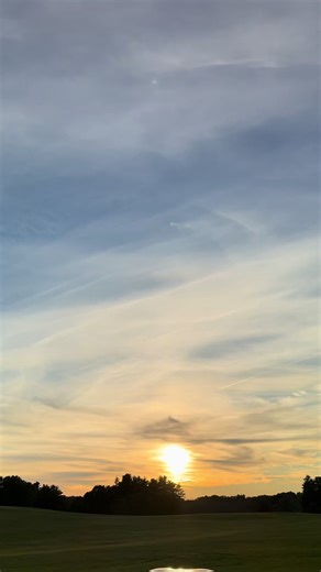 Viper and Chevelle: A Classic Car Comparison