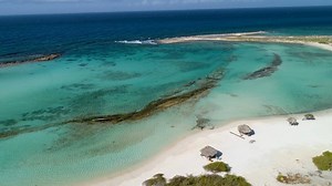 Take a family adventure to the calm, crystal-clear waters of beautiful Baby Beach with #ArubaLocal family, the Gomez’s! Watch the Gomez’s story and get their insider local tips on #OneHappyIsland at aruba.com/gomez #MyAruba | Aruba