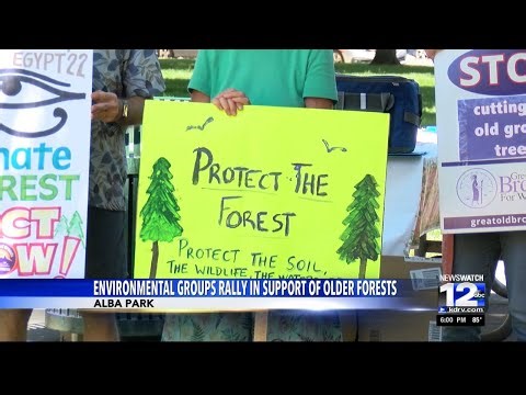 Groups rally for protection of older forests