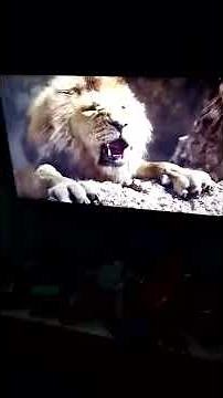 The Lion King 2019 Mufasa Falls Scene