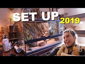 How To Set Up A Bearded Dragon Enclosure !! A Very Easy Set Up