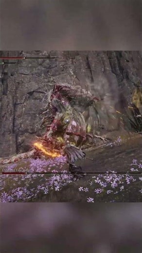 Ulcerated Tree Spirit Mt. Gelmir #eldenring