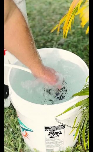 How to rinse your scuba regulator