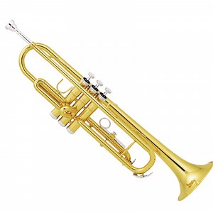 [Hot Item] Popular Trumpet/ Student Trumpet (TR-100)