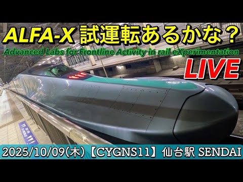 〔LIVE〕試運転「ALFA-X」見れるかな？ 東北新幹線 お見送り SENDAI／在来線 乗車【CYGNS11】2025/10/09