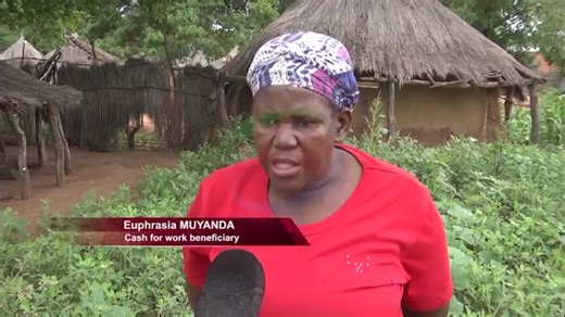 3K views · 72 reactions | Cash-for-Work Program Benefits Over 1,300...