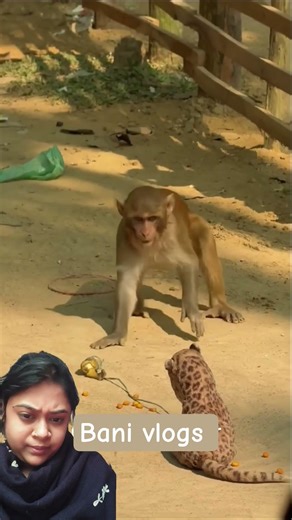 Bengali funny Dubbing video 🤣🤣 সামনে ওটা কি বসে আছে 😳😳#funny #trending #viral #viralvideo #shorts