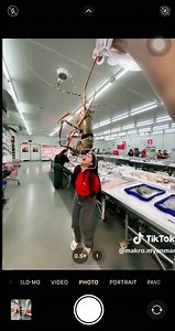 Shop at Makro for All Your Needs | Trendy and Affordable Shopping Experience