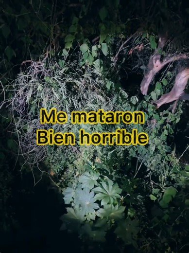 Funcionamiento de una Spirit Box: Descubre la Verdad