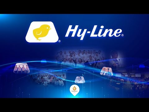 1er Seminario Hy-Line para América Latina, un espacio para impulsar la producción regional de huevo