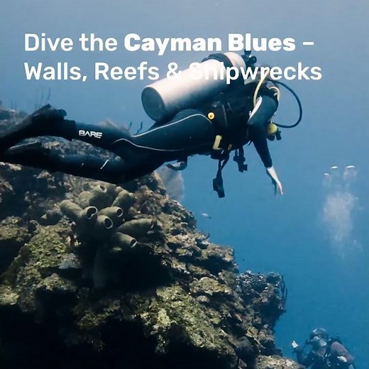 Discover Grand Cayman Attractions and Adventures