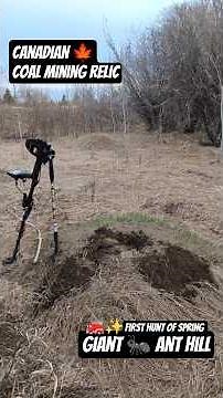 Ant Hill Treasure 🐜🍁 Canadian Coal Mining Relic #MetalDetecting #TreasureHunt #History
