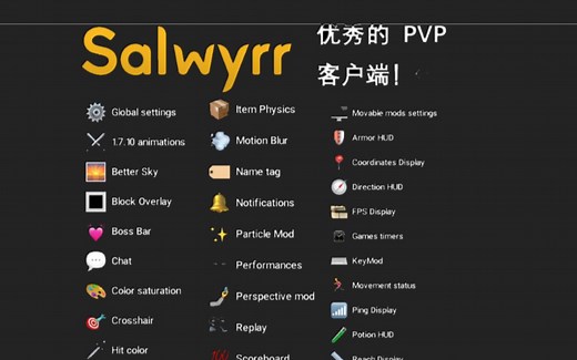 Salwyrr使用教程-优秀的PVP客户端