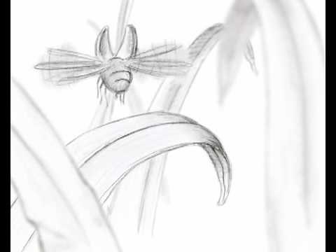 Brilliant Award Winning Animation film. Environmental Short film Human-Nature. MUST WATCH!