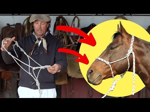 Cómo Hacer Un Bozal/Jáquima/Cabezal De Cuerda en 5 Minutos [Rope Halter]