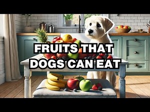 What Fruits Can Dogs Eat? Explained