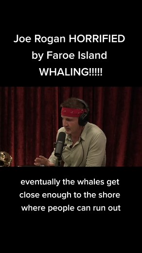 Exploring the Controversial Whaling Practices in Faroe Islands