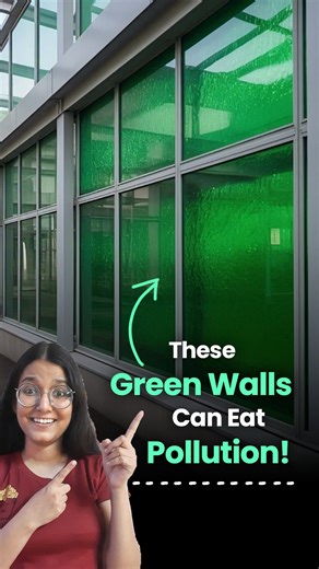 The Better India | What if the green gunk choking our lakes could help us breathe better?🌿 Meet the couple turning algae into pollution-fighting green walls.... | Instagram