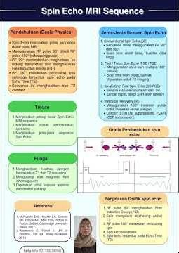 Spin Echo MRI Sequence