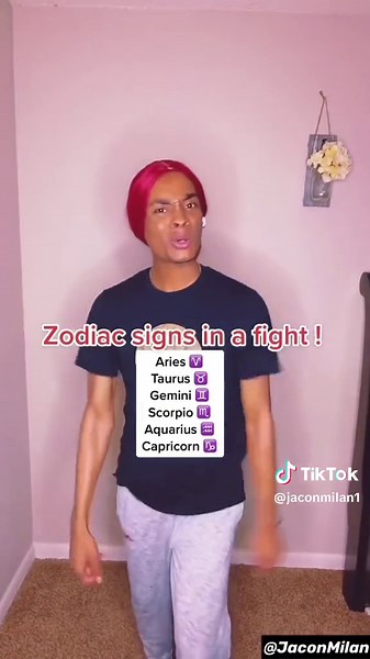 Hilarious Zodiac Signs Fight Compilation