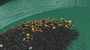 🌟 Join the Gold Prospectors Association of America and be a part of our 55-year celebration! 🎉 Tens of thousands of GPAA members are embarking on thrilling gold-hunting adventures. 🏞️✨ Discover the excitement and rewards of membership - become a member today and embrace the great outdoors with us! 💪🔍 Don't miss out on this golden opportunity! Sign up now ✅ #GPAA #GoldProspectors #OutdoorAdventures | Gold Prospectors Association of America