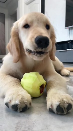 user97341950589 on TikTok