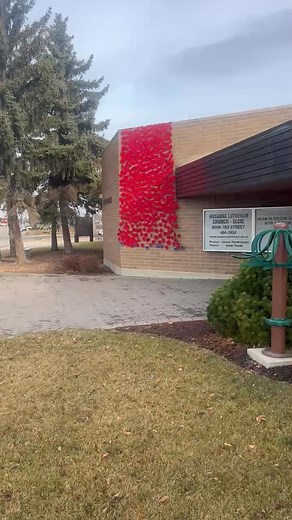 Our poppy display at church today | Chris Terry