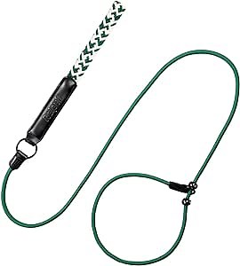 Raipult Slip Leads for Dogs, 6FT Strong Training Rope Leash with Padded Leather Handle,No Pull Loop Leash and Collar for Small Medium Dogs, Green