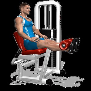 LEG EXTENSION: vedi l'esecuzione | EvolutionFit