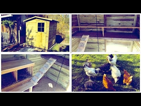 Build your own chicken coop (from a garden shed)