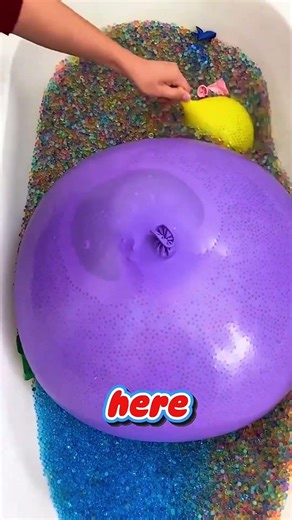 The Night the Neighborhood Watch Went Absolutely Rogue...