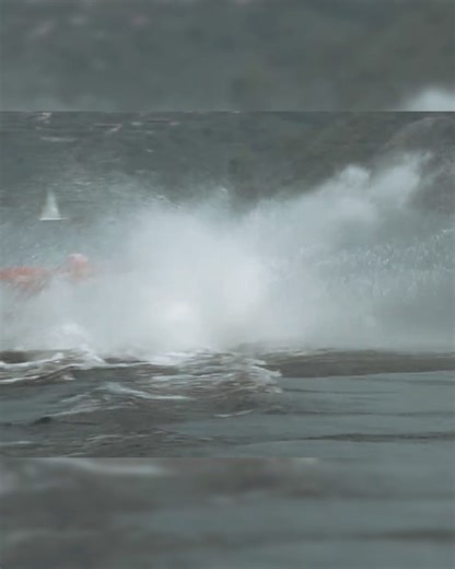 Pogona Insurance on Reels