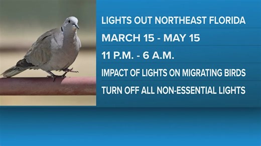 'Lights Out': Northeast Florida goes dark to protect migrating birds